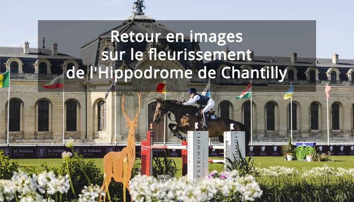 opération promotionnelle Visuel opération promotionnelle