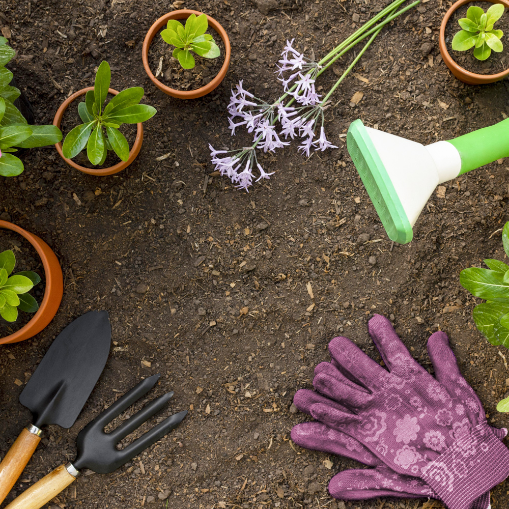 Que faire au jardin en juin