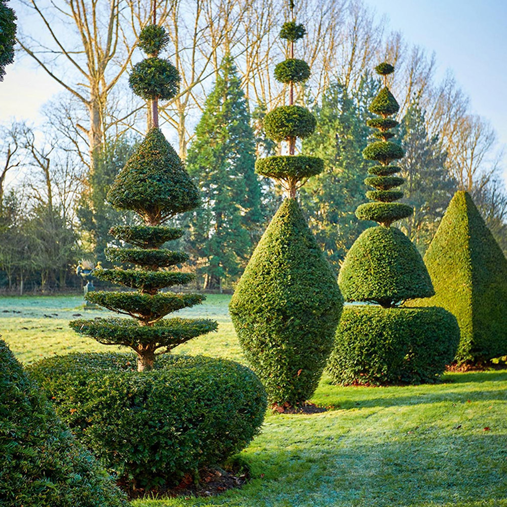 art topiaire exemple