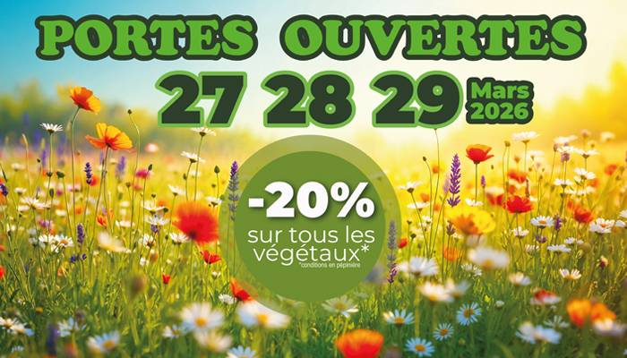 Visuel opération promotionnelle